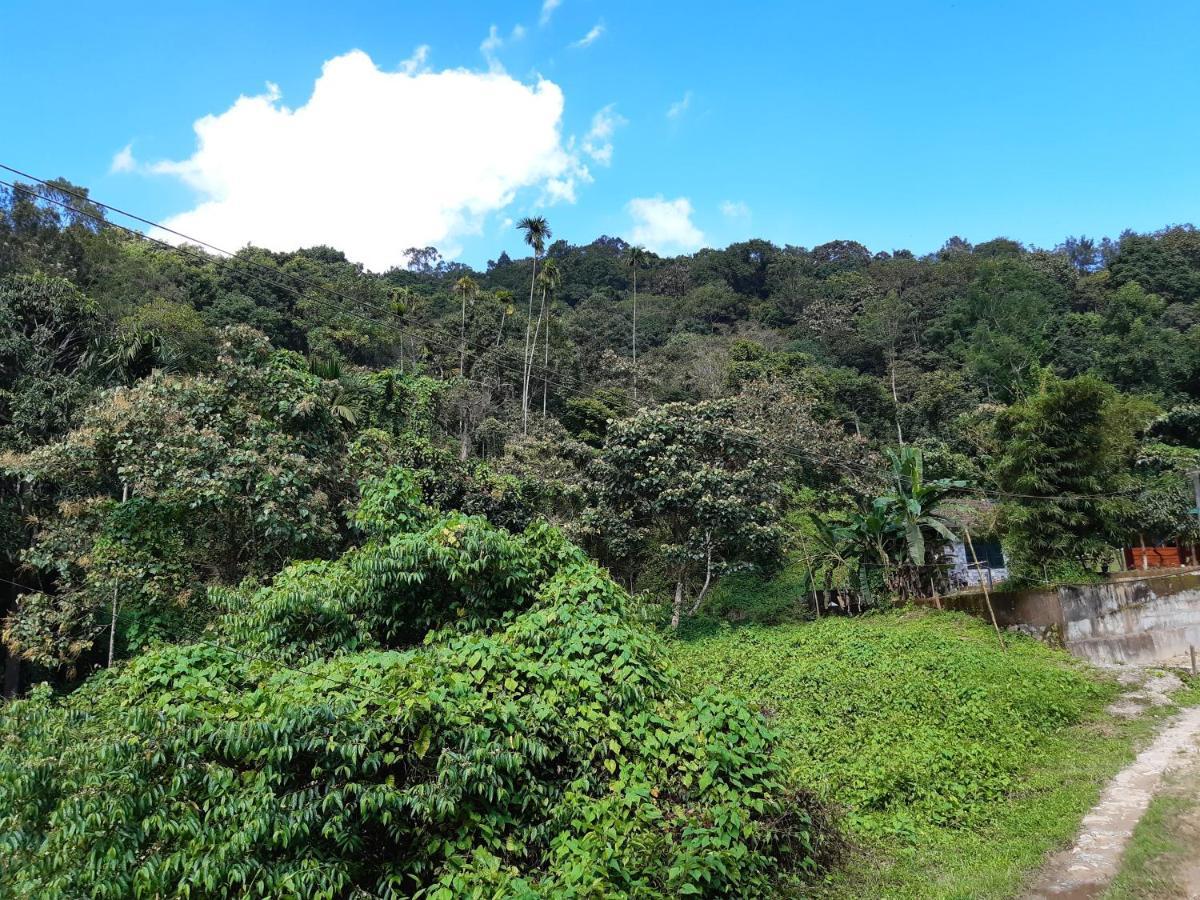 Mountain View Holiday Home 卡尔佩特塔 外观 照片